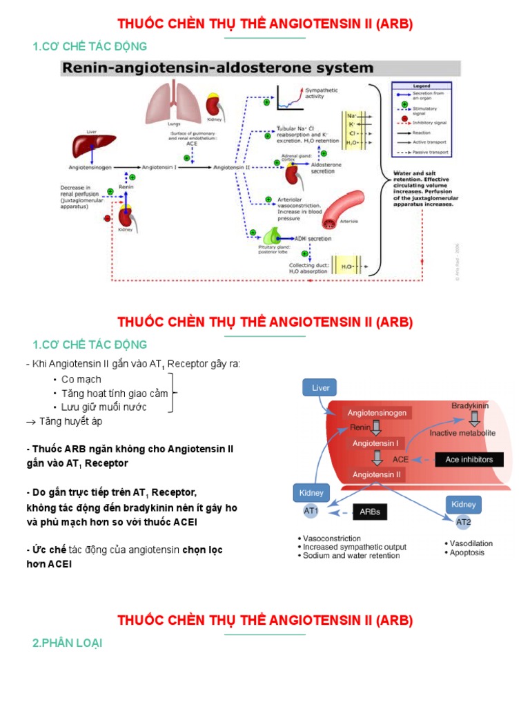 Thuốc Chèn Thụ Thể Angiotensin Ii (Arb) | PDF