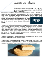 Cacioricotta di Capra.pdf