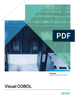 Visual Cobol Brochure PDF