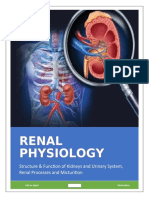 Renal Physiology: Structure & Function of Kidneys and Urinary System, Renal Processes and Micturition