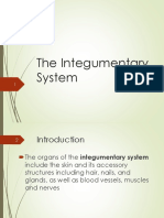 Integumentary System