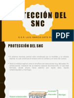Proteccion SNC