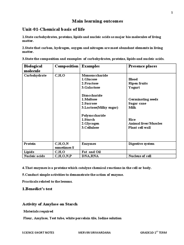Grade Schoolとは 意味・読み方・使い方 intelligence overview