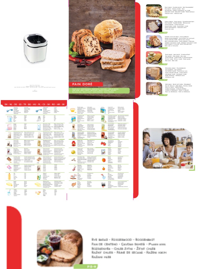 Tefal PAIN DORE Breadmaker NC00148380 PDF PDF