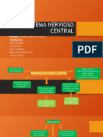 Sistema Nervioso Central Embriologia 2