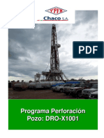 Programa-de-Perforacion-DRO-X1001-Fi.pdf