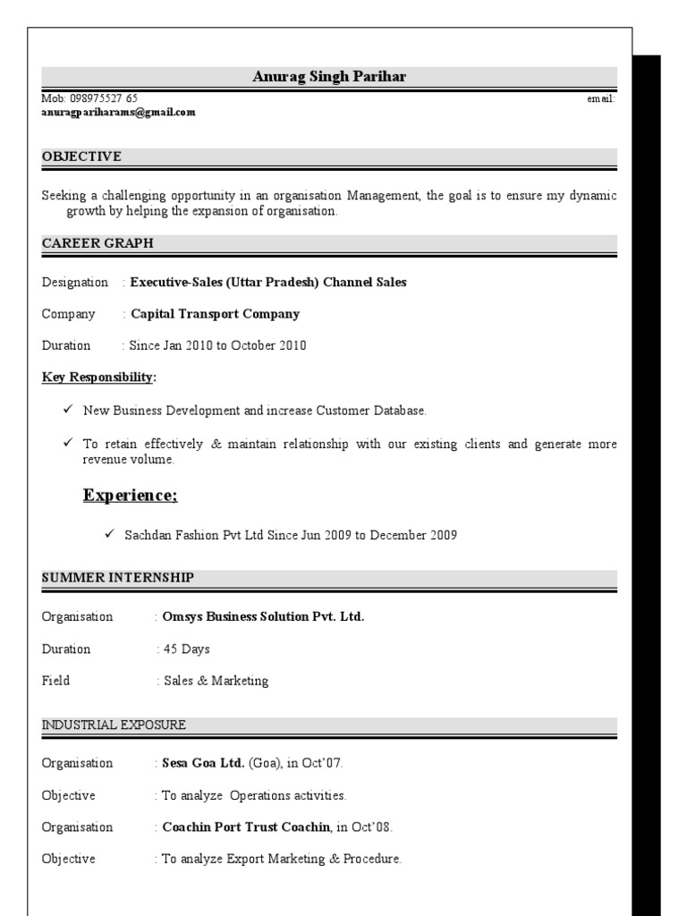 Sales Executive Resume - Anurag Singh | PDF
