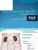 sistemulexcretor_rinichii (1)