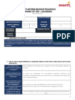 Formato Informe Mediador Mensual 2