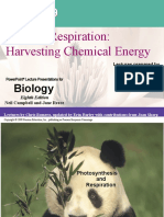 Cellular Respiration: Harvesting Chemical Energy: Biology