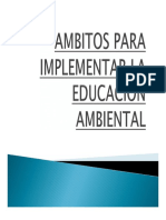 Ambitos para Implementar La EA PDF