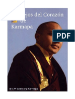 Consejos del Corazón de Karmapa-El 17 Gyalwang Karmapa