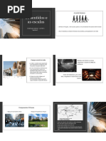 Os sentidos e as escalas