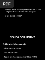 aula 6 Tecido Conjuntivo 2019 UNA.ppt