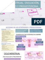 Ciclo menstrual, ovulación, estrógeno y progesterona