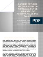 Impacto ambiental y salud por contaminación del río Guabas