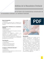 Capítulo II Características Distintivas de La Musculatura Orofacial PDF