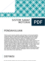 Sistem Saraf Motorik