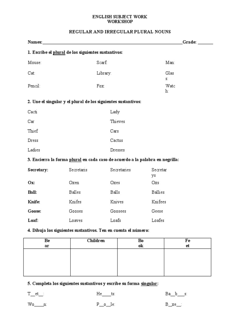 Regular and Irregular Plural Nouns Wshop | PDF