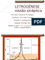 Aula 6 - Transmissão Sináptica