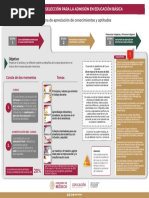 Infografia Curso Habilidades Docentes NEM PDF