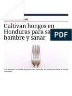 Cultivan Hongos en Honduras para Saciar El Hambre y Sanar - AméricaEconomía - AméricaEconomía