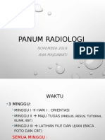 Panum Radiologi Nopember 2019