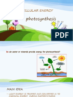 Cellular Energy: Photosynthesis