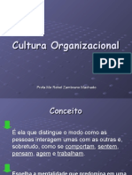 5 Culturaorganizacional 100204173944 Phpapp01