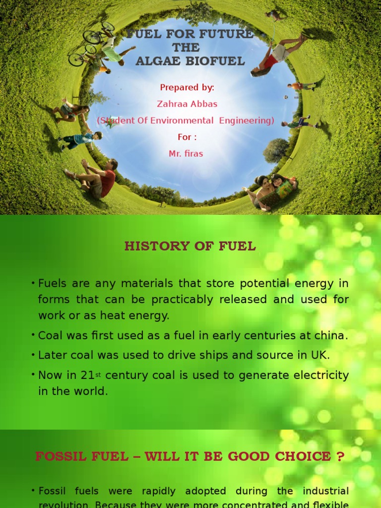 Algae Biofuel: Sustainable Energy Future | PDF | Biofuel | Algae Fuel