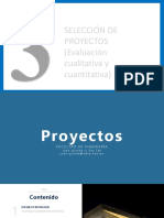 AI-03-20-Seleccion de Proyectos PDF