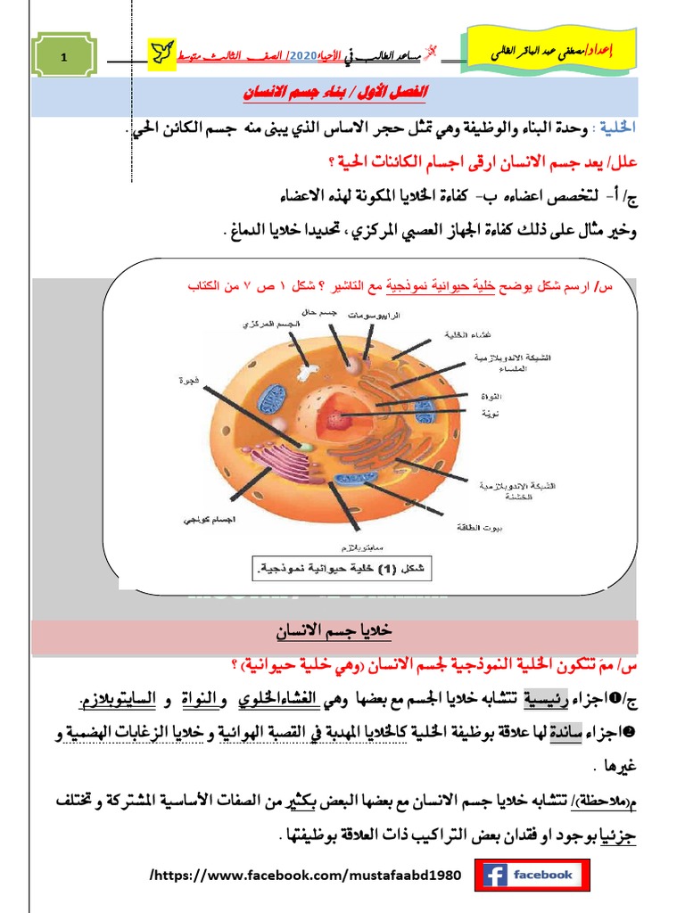 ملزمة الظالمي 2020 Pdf