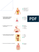 Corpo Humano1 PDF