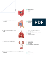 Corpo Humano3 PDF