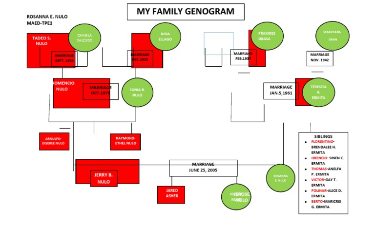 My Family Genogram: Rosanna E. Nulo Maed-Tpe1 | PDF