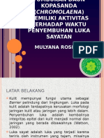 PROPOSAL Mulyana SEMINAR