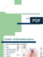 cv1.ppt