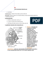 Lactancia Puerperio Cuidados de Enfermeria Clase 3