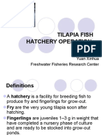 Tilapia Fish Hatchery Operation: Yuan Xinhua Freshwater Fisheries Research Center