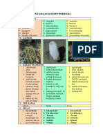 PENYAMAAN KONSEP PORIFERA 18