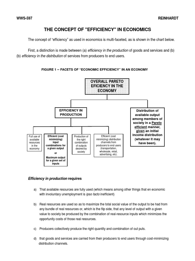 Understanding Economic Efficiency Concepts | PDF | Pareto Efficiency ...