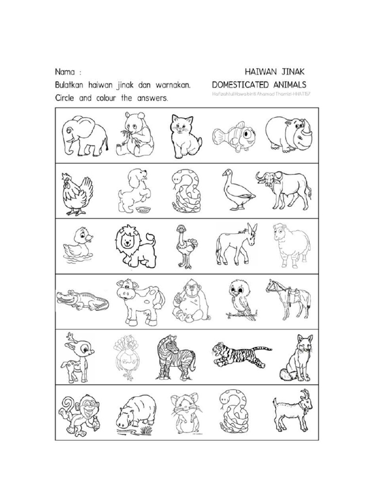 Tema Haiwan Inas Pdf