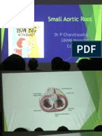 small aortic root