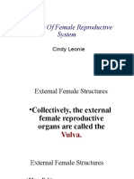 Anatomy of Female Reproductive System: Cindy Leonie