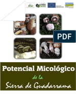 Estudio Micológico Sierra de Guadarrama