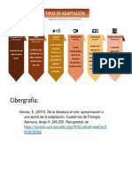 JCAE - Tipos de Adaptación