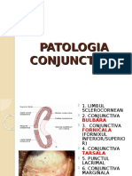 PATOLOGIA CONJUNCTIVEI DR Dascalu