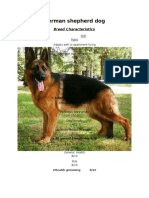 German Shepherd Dog: Breed Characteristics