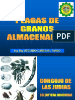 Plagas de Almacenes 2017 - Ii PDF