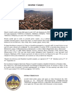 vrsac-rumunski.pdf